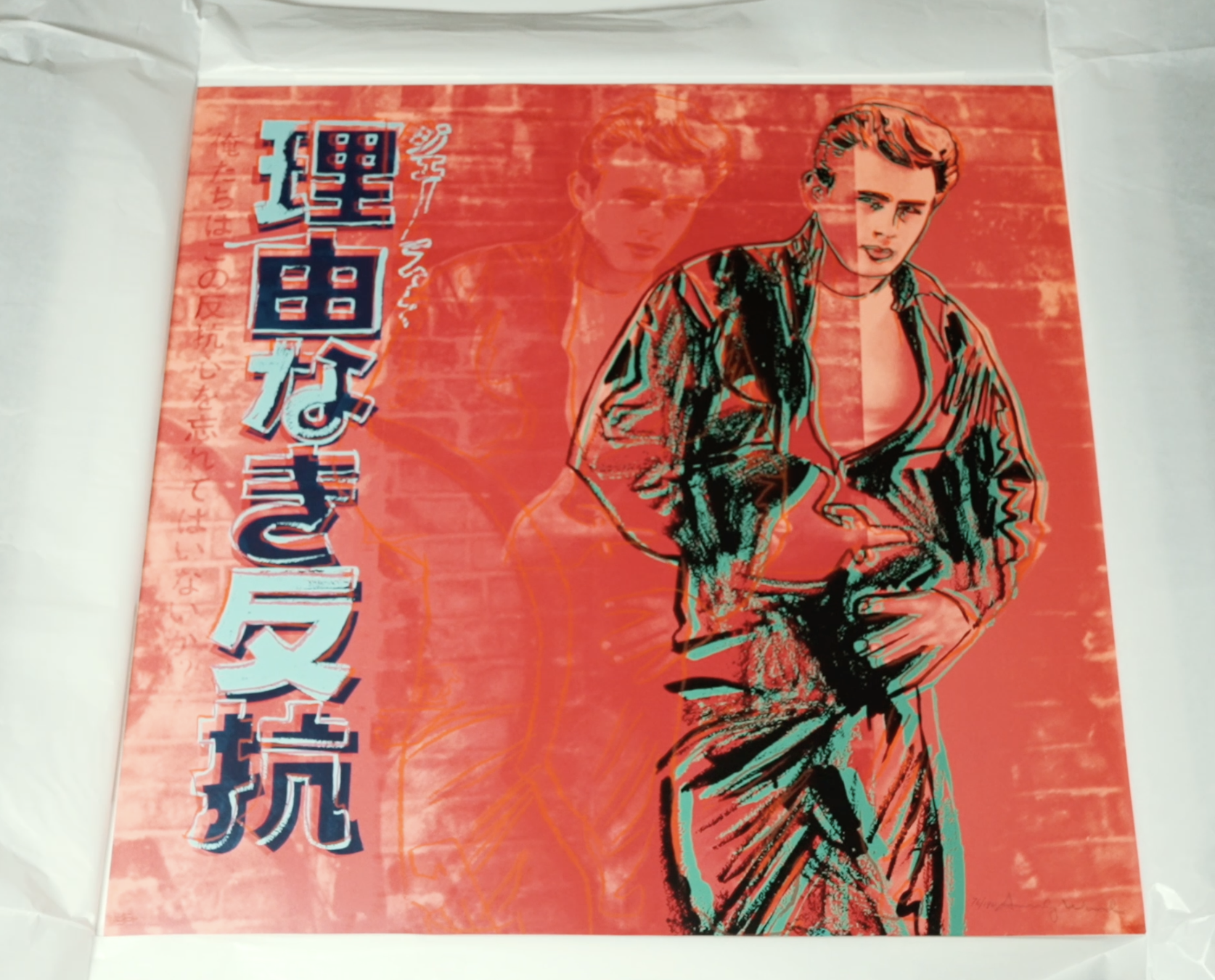 Warhol's Rebel Without a Cause (display)